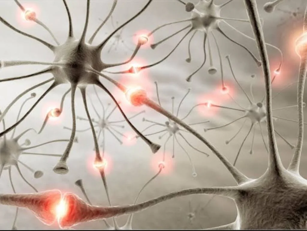 Fibromialgia: disfunção neurossensorial